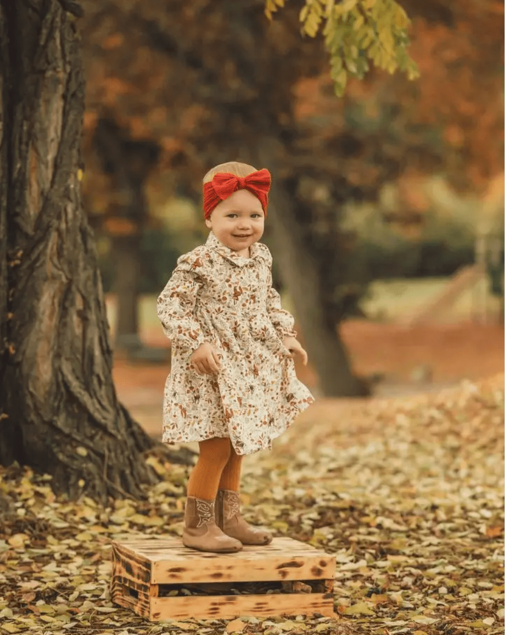 The Cowboy Boot